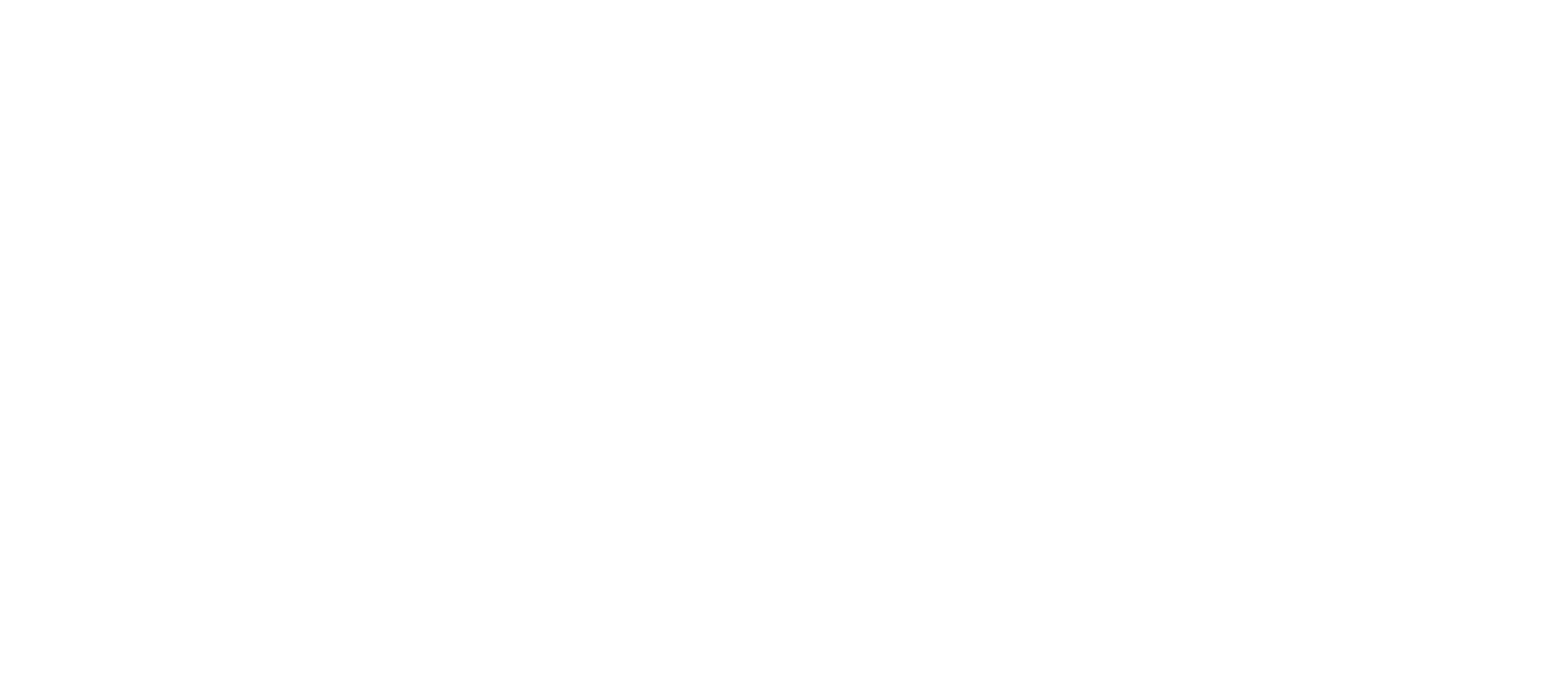 RuneFist Studios